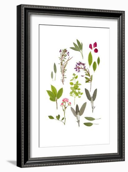 Herbs and Flowers of Summer-marilyna-Framed Art Print