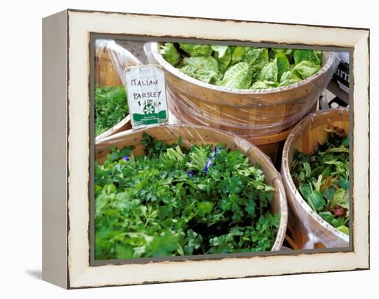 Herbs and Greens, Ferry Building Farmer's Market, San Francisco, California, USA-Inger Hogstrom-Framed Premier Image Canvas