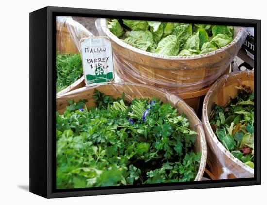 Herbs and Greens, Ferry Building Farmer's Market, San Francisco, California, USA-Inger Hogstrom-Framed Premier Image Canvas