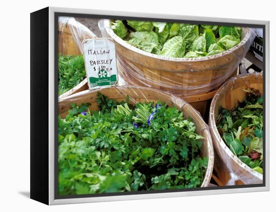 Herbs and Greens, Ferry Building Farmer's Market, San Francisco, California, USA-Inger Hogstrom-Framed Premier Image Canvas