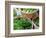 Herbs and Greens, Ferry Building Farmer's Market, San Francisco, California, USA-Inger Hogstrom-Framed Photographic Print