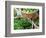 Herbs and Greens, Ferry Building Farmer's Market, San Francisco, California, USA-Inger Hogstrom-Framed Photographic Print