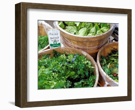 Herbs and Greens, Ferry Building Farmer's Market, San Francisco, California, USA-Inger Hogstrom-Framed Photographic Print