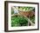 Herbs and Greens, Ferry Building Farmer's Market, San Francisco, California, USA-Inger Hogstrom-Framed Photographic Print