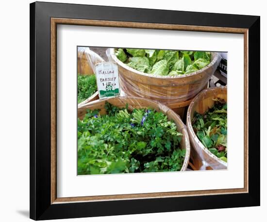 Herbs and Greens, Ferry Building Farmer's Market, San Francisco, California, USA-Inger Hogstrom-Framed Photographic Print