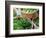 Herbs and Greens, Ferry Building Farmer's Market, San Francisco, California, USA-Inger Hogstrom-Framed Photographic Print