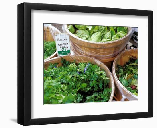 Herbs and Greens, Ferry Building Farmer's Market, San Francisco, California, USA-Inger Hogstrom-Framed Photographic Print