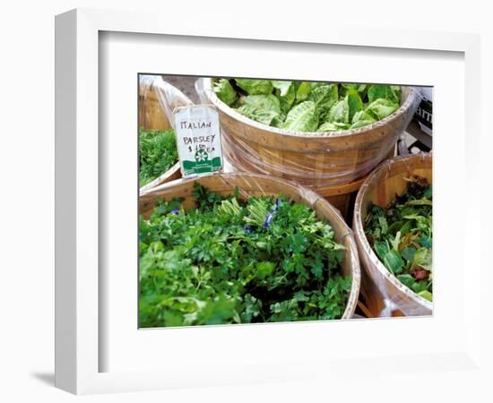 Herbs and Greens, Ferry Building Farmer's Market, San Francisco, California, USA-Inger Hogstrom-Framed Photographic Print