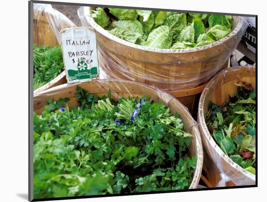 Herbs and Greens, Ferry Building Farmer's Market, San Francisco, California, USA-Inger Hogstrom-Mounted Photographic Print