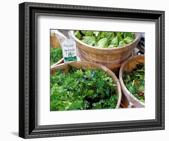 Herbs and Greens, Ferry Building Farmer's Market, San Francisco, California, USA-Inger Hogstrom-Framed Photographic Print