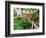 Herbs and Greens, Ferry Building Farmer's Market, San Francisco, California, USA-Inger Hogstrom-Framed Photographic Print