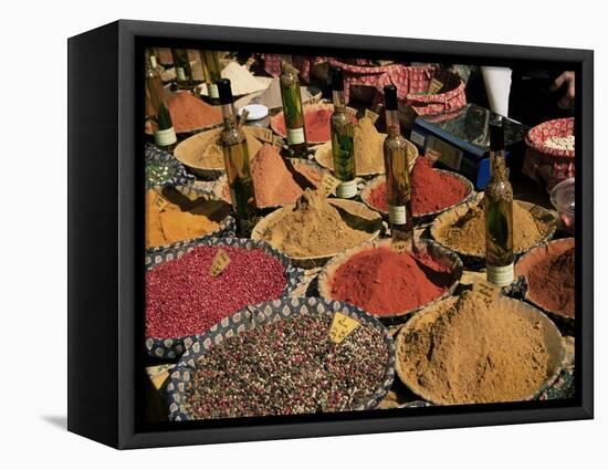 Herbs and Spices, Aix En Provence, Bouches Du Rhone, Provence, France-Roy Rainford-Framed Premier Image Canvas