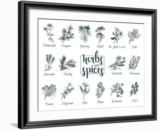 Herbs and Spices Set. Hand Drawn Officinalis, Medicinal, Cosmetic Plants. Engraving Botanical Illus-Vlada Young-Framed Art Print
