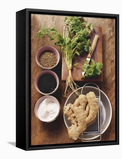 Herbs and Spices-Eising Studio - Food Photo and Video-Framed Premier Image Canvas