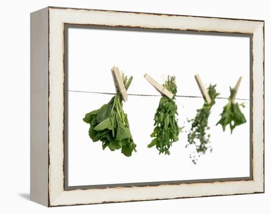 Herbs Drying on a Washing Line-Kröger & Gross-Framed Premier Image Canvas