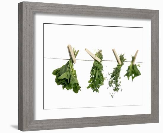 Herbs Drying on a Washing Line-Kröger & Gross-Framed Photographic Print