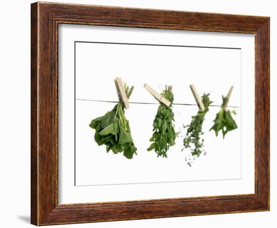 Herbs Drying on a Washing Line-Kröger & Gross-Framed Photographic Print