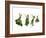 Herbs Drying on a Washing Line-Kröger & Gross-Framed Photographic Print