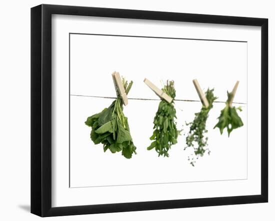 Herbs Drying on a Washing Line-Kröger & Gross-Framed Photographic Print