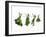 Herbs Drying on a Washing Line-Kröger & Gross-Framed Photographic Print