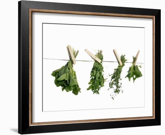 Herbs Drying on a Washing Line-Kröger & Gross-Framed Photographic Print