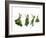 Herbs Drying on a Washing Line-Kröger & Gross-Framed Photographic Print