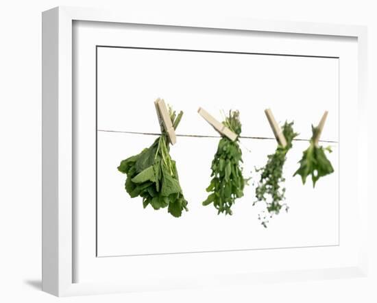 Herbs Drying on a Washing Line-Kröger & Gross-Framed Photographic Print