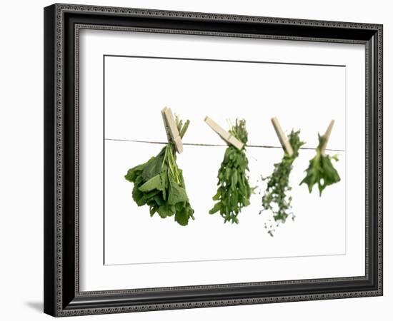 Herbs Drying on a Washing Line-Kröger & Gross-Framed Photographic Print