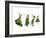 Herbs Drying on a Washing Line-Kröger & Gross-Framed Photographic Print