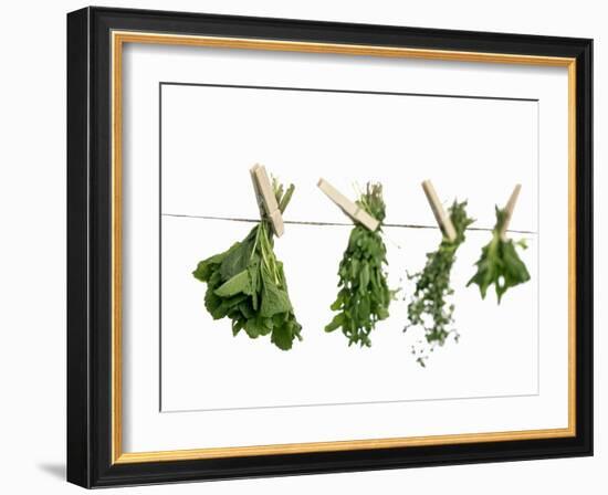 Herbs Drying on a Washing Line-Kröger & Gross-Framed Photographic Print