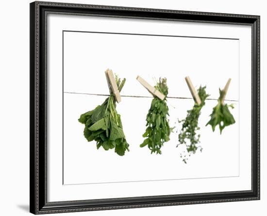 Herbs Drying on a Washing Line-Kröger & Gross-Framed Photographic Print