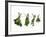 Herbs Drying on a Washing Line-Kröger & Gross-Framed Photographic Print