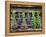Herbs Drying Upside Down-Clay Perry-Framed Premier Image Canvas