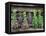 Herbs Drying Upside Down-Clay Perry-Framed Premier Image Canvas