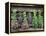 Herbs Drying Upside Down-Clay Perry-Framed Premier Image Canvas