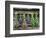 Herbs Drying Upside Down-Clay Perry-Framed Photographic Print