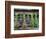 Herbs Drying Upside Down-Clay Perry-Framed Photographic Print