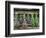 Herbs Drying Upside Down-Clay Perry-Framed Photographic Print