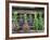 Herbs Drying Upside Down-Clay Perry-Framed Photographic Print