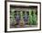 Herbs Drying Upside Down-Clay Perry-Framed Photographic Print