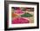 Herbs for Sale in a Stall in the Place Djemaa El Fna in the Medina of Marrakech, Morocco, Africa-Andrew Sproule-Framed Photographic Print