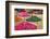 Herbs for Sale in a Stall in the Place Djemaa El Fna in the Medina of Marrakech, Morocco, Africa-Andrew Sproule-Framed Photographic Print