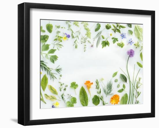 Herbs Framing the Picture-Maximilian Stock-Framed Photographic Print