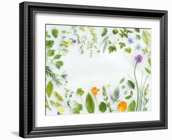 Herbs Framing the Picture-Maximilian Stock-Framed Photographic Print