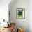 Herbs Seed Packet-Lantern Press-Framed Art Print displayed on a wall