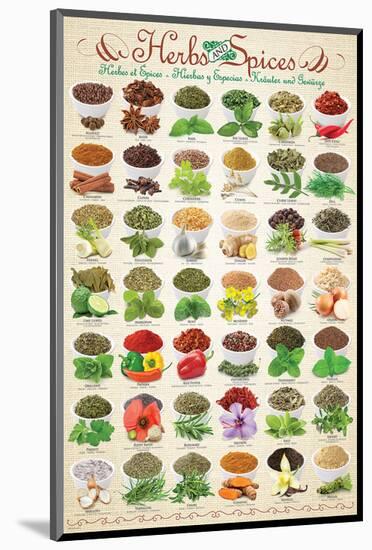 Herbs & Spices-null-Mounted Premium Giclee Print