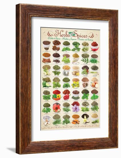 Herbs & Spices-null-Framed Premium Giclee Print