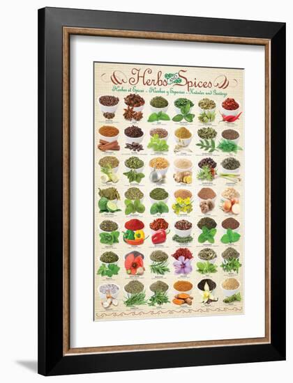 Herbs & Spices-null-Framed Premium Giclee Print