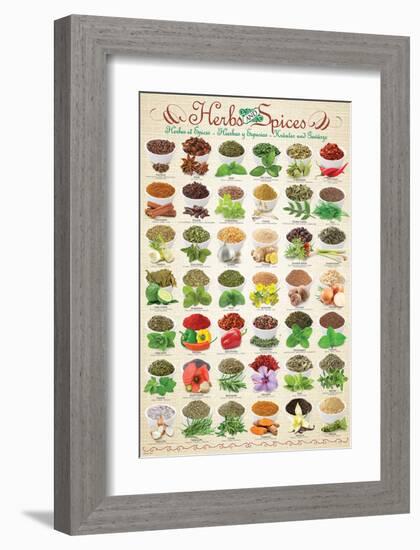 Herbs & Spices-null-Framed Premium Giclee Print