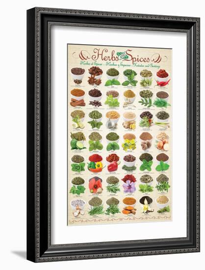 Herbs & Spices-null-Framed Premium Giclee Print